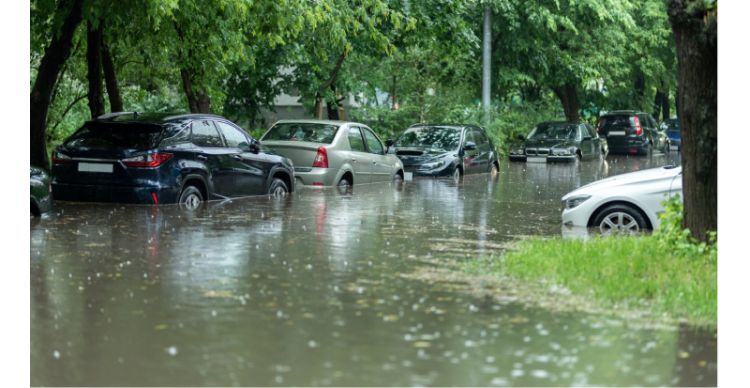 Predicting disaster risk perception and preparedness around the world