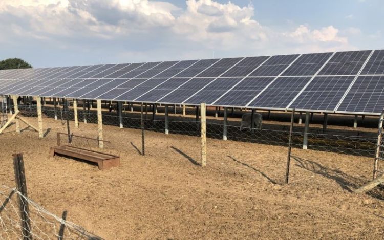 Sola panels on a farm