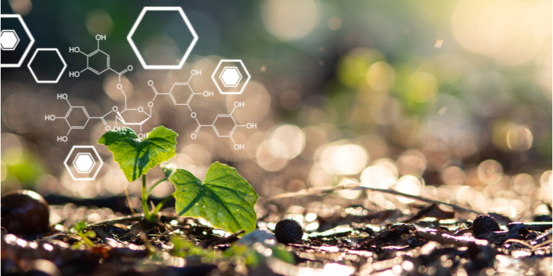 Small plant in the ground with biochemistry graphic overlay