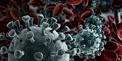 Coronavirus