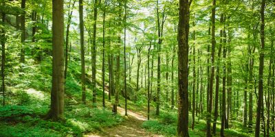 Academic Symposium: Advancing Sustainable Contracting – December 2022