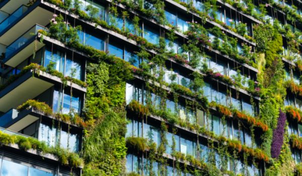 building covered in plants