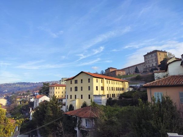 View of buildings on a hillside in Moncalieri