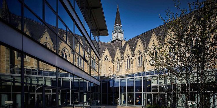 Innovative Entrepreneurs Programme wins 'Accelerator of the Year award'