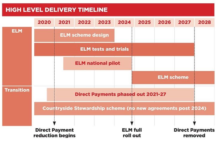 Figure showing high level delivery timeline